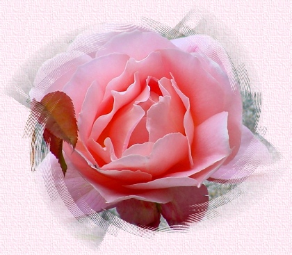 grandeimage.jpg (84337 bytes)